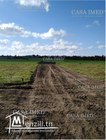 Terrain à kerkouane de 500 m²