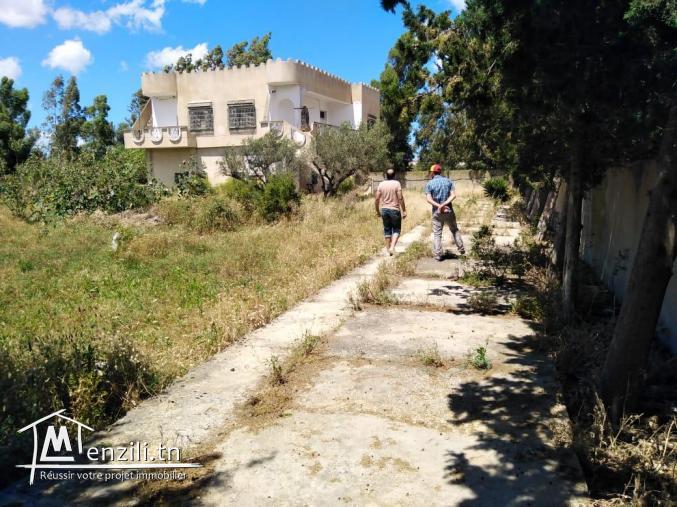 bel maison a chotrana