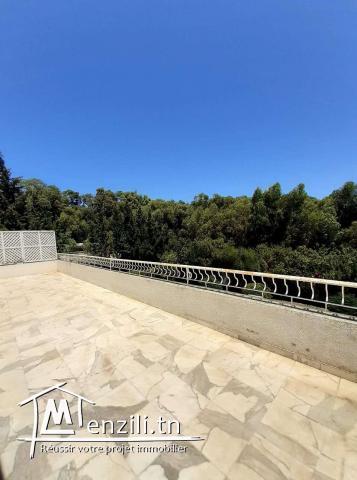 Location d’une villa calme et sécurisé a Gammarth Tunisie