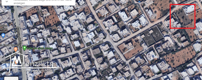 Terrain route de Teniour km 7 (Chihia) 1250 m² a vendre