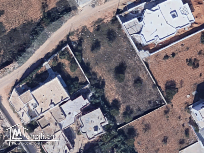 Terrain route de Teniour km 7 (Chihia) 1250 m² a vendre