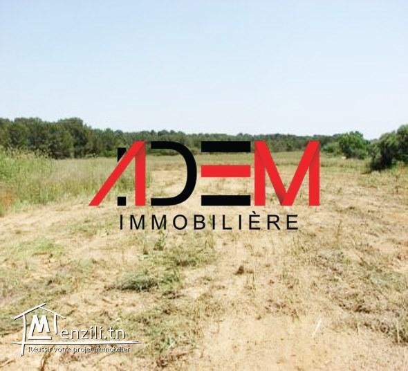 Terrain de 720 m²