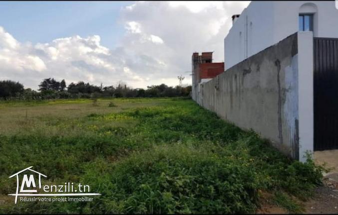 Terrain hammamet nord 500 m2 bien située