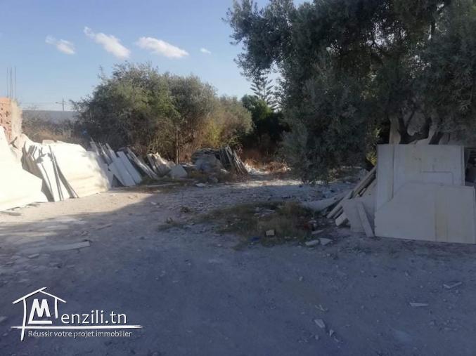 ارض للبيع في سكرة