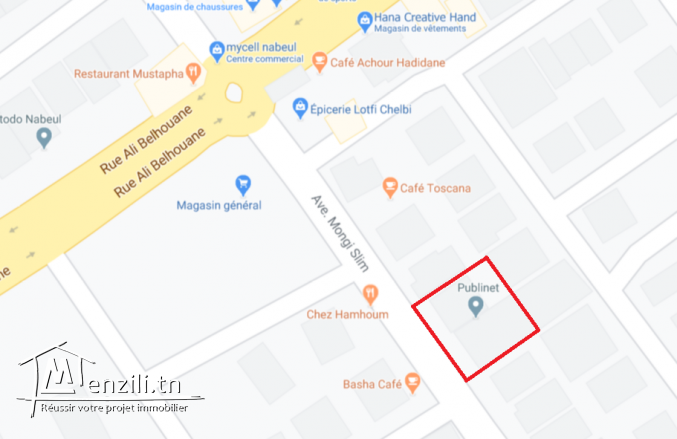 villa + 2 appr + commerce