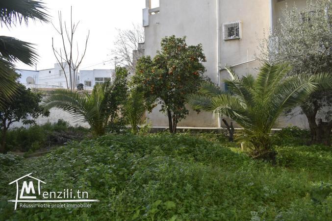 terrain bardo de 446 m2