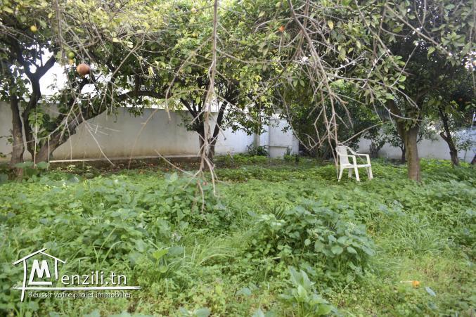 terrain bardo de 446 m2