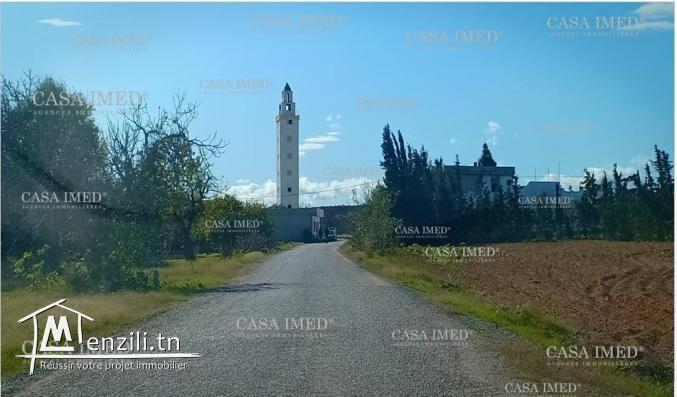 Terrain à 5 km de Yassmine Hammamet ☎ 29 232 582