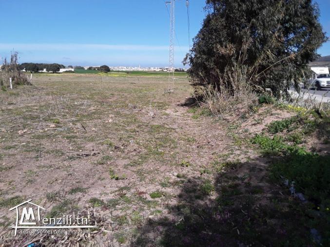 Terrain à kélibia prix 55 mille dt