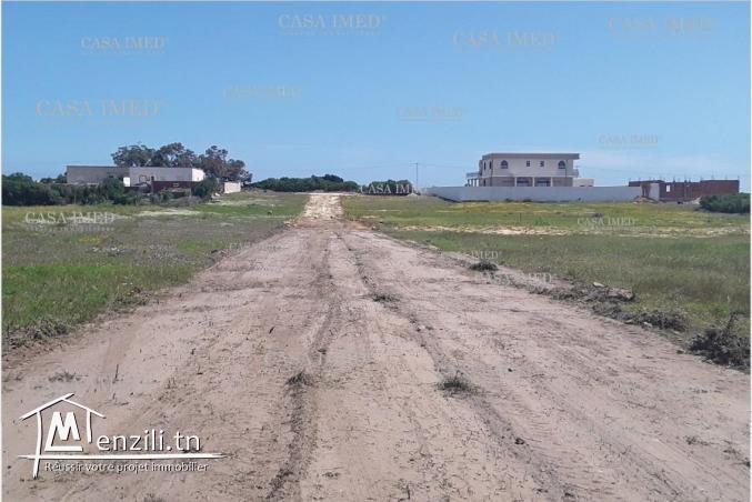 Terrain à kerkouene plage (Kélibia) ☎ 29.232.582