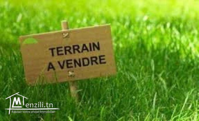 terrain à kalaa kbira