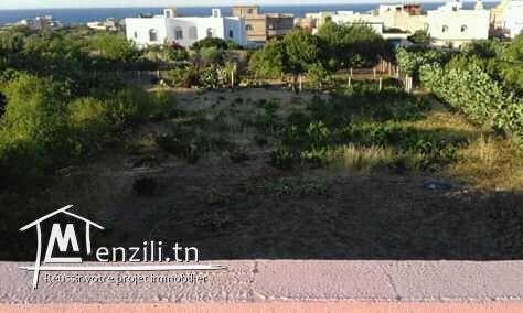 Maison vue mer et forêt à rafrafplage lehmeri