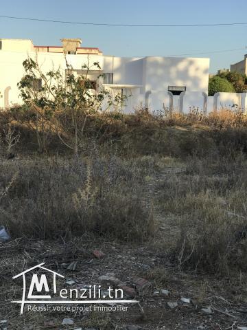 Terrain de 350 m2 à Boumhal