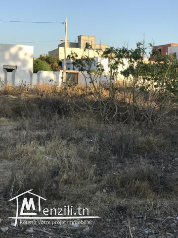 Terrain de 350 m2 à Boumhal