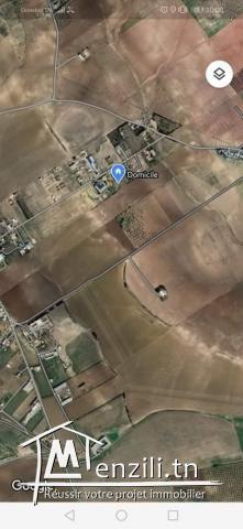 للبيع قطعة أرض بالمحمدية ,طريق الكسير