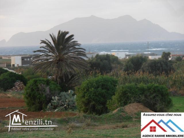 Terrain de 2000m2 a la mer d’el haouaria cap bon