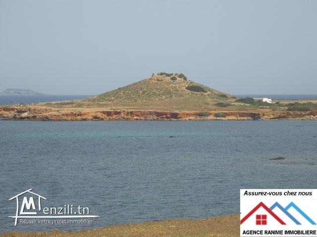 Terrain de 2000m2 a la mer d’el haouaria cap bon