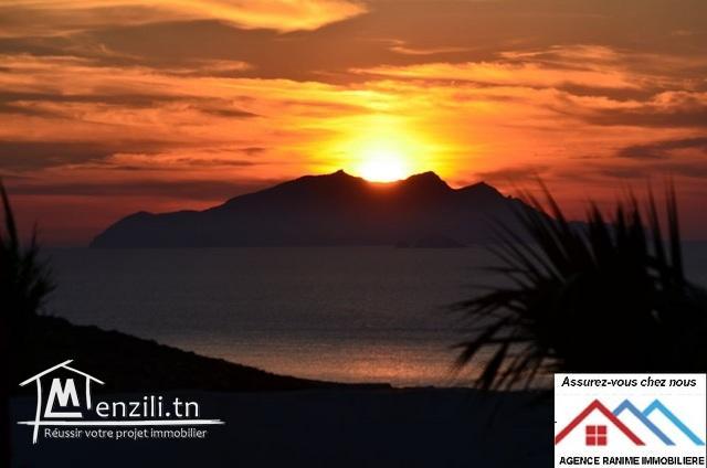 Terrain de 2000m2 a la mer d’el haouaria cap bon