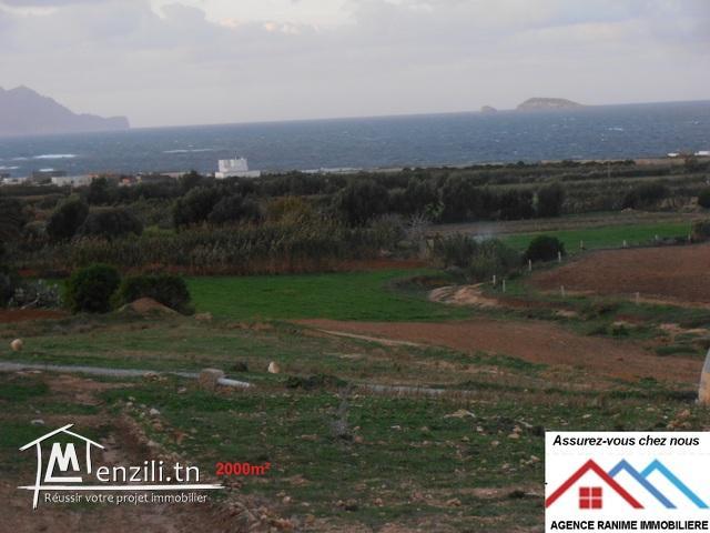Terrain de 2000m2 a la mer d’el haouaria cap bon