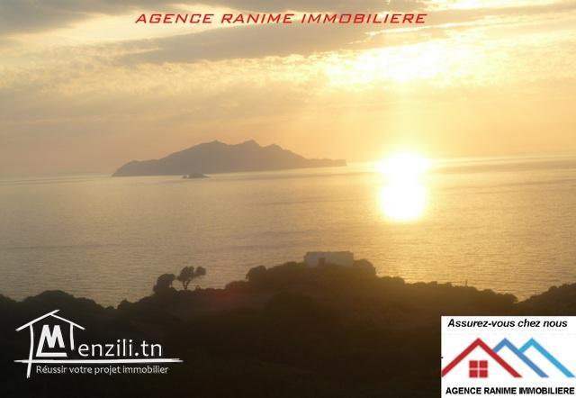 Terrain de 2000m2 a la mer d’el haouaria cap bon