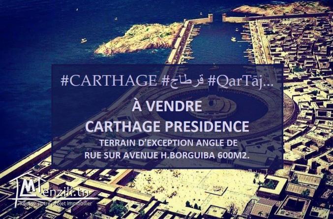 av carthage presidence terrain d'exception