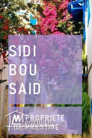 sidi bou said av extraordinaire propriété