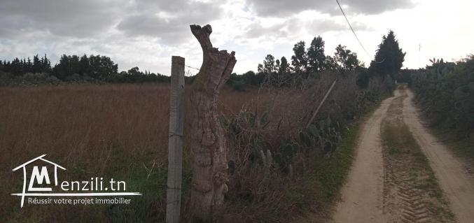 terrain d'un hec et 3500m cloturé