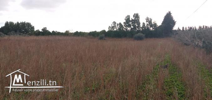 terrain d'un hec et 3500m cloturé