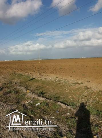 terrain à 23hectares