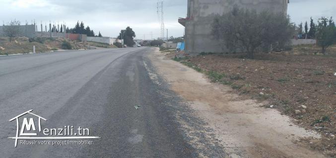 terrain commercial de 1600m