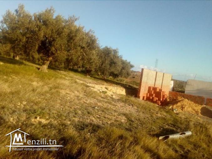 terrain de 1000m avec très belle vu