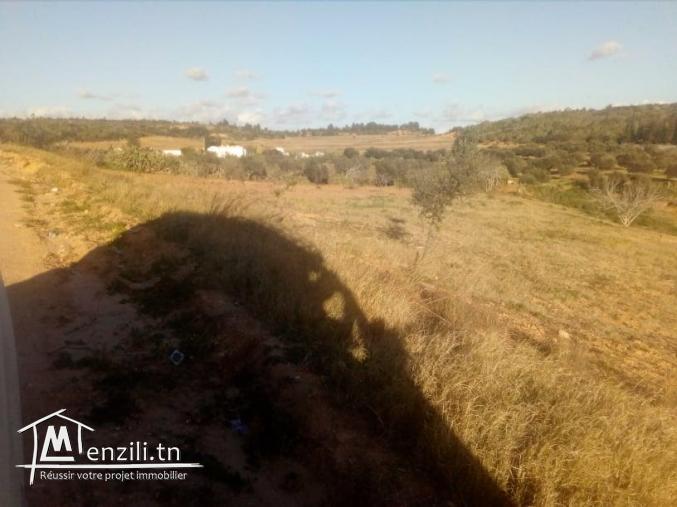 terrain de 1000m avec très belle vu