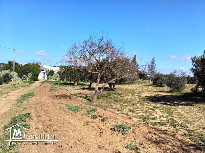 un lot de terrain de 4500m²  a vendre