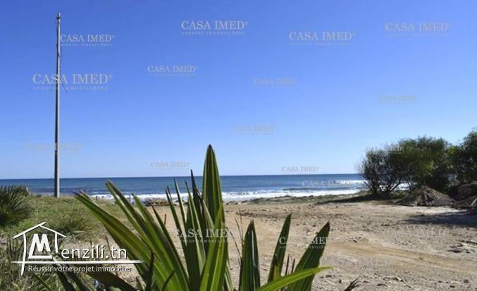 terrain vue sur mer kirkouene plage ( Kélibia) ☎ 29.232.582