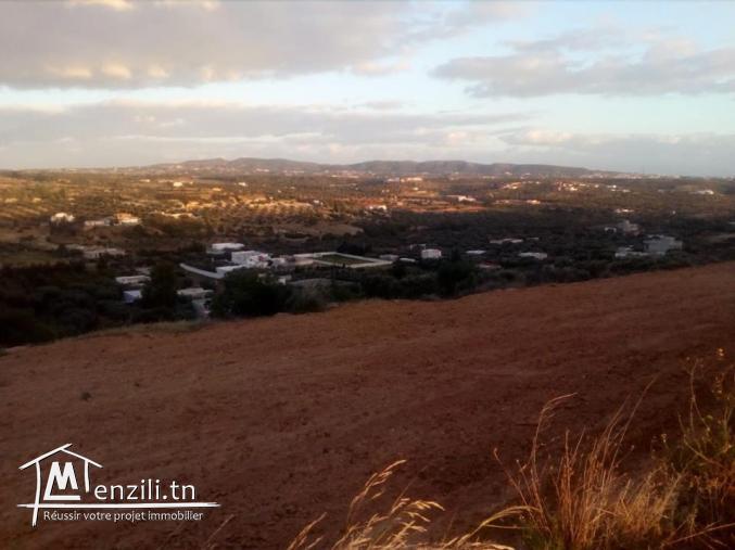 un lot de terrain de 2000m