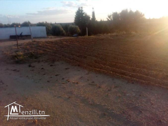 un lot de terrain de 2000m