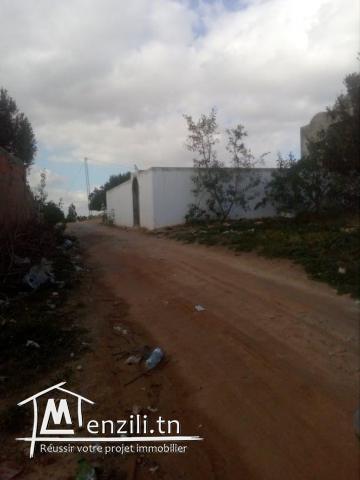 750m a hammamet