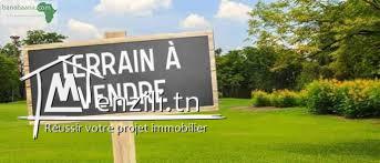 terrain de promotion