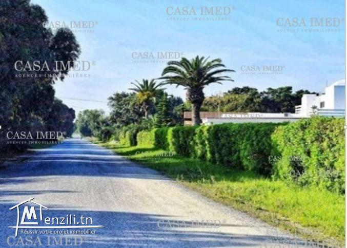 Terrain # 2ème position #  à Kirkouene plage ☎ 29.232.582