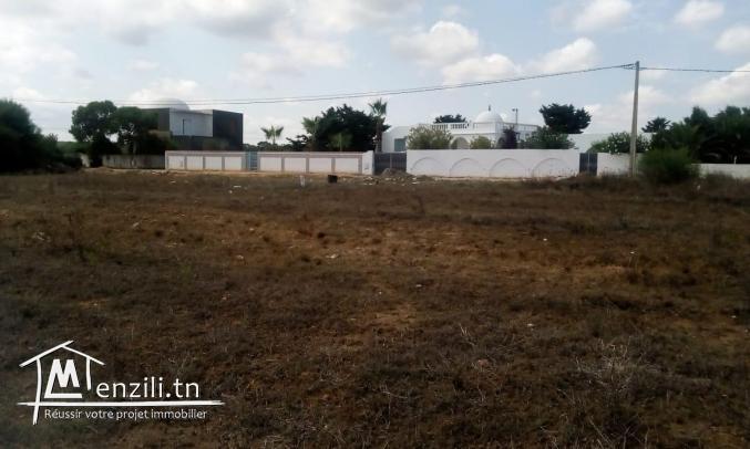 Terrain # 2ème position #  à Kirkouene plage ☎ 29.232.582