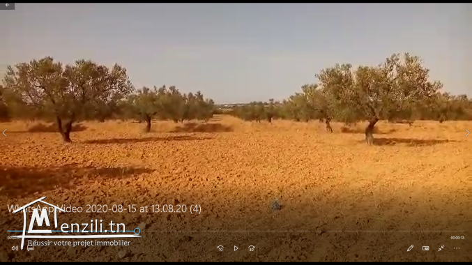 terrain 3.74 hectare au banlieue de monastir