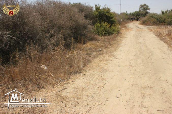 vendre un terrain à Sidi Madhkour_Dar Alouche 5