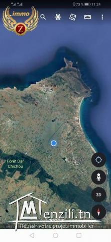 vendre un terrain à Sidi Madhkour_Dar Alouche 5