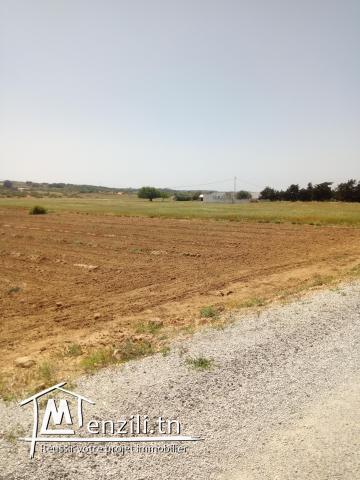 للبيع 6 هكتارات في منطقة فلاحية رائعة