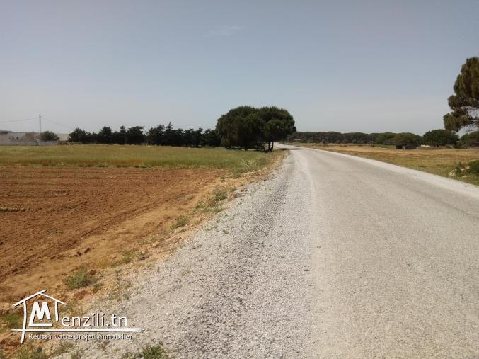 للبيع 6 هكتارات في منطقة فلاحية رائعة