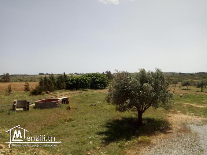 للبيع 6 هكتارات في منطقة فلاحية رائعة