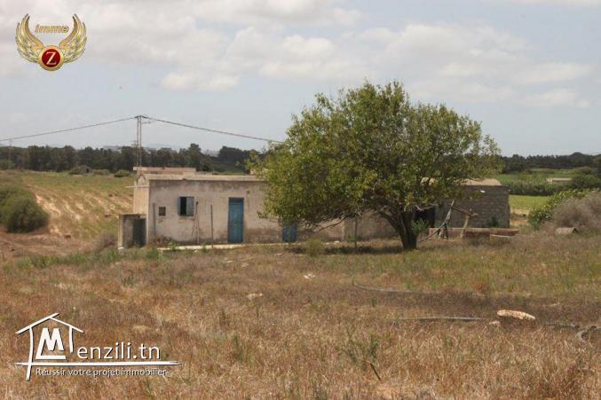 à vendre 35000 m² à El Haouaria