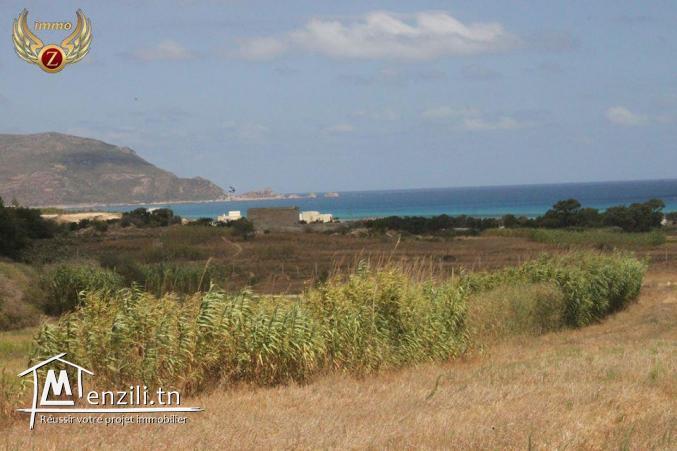 à vendre 35000 m² à El Haouaria