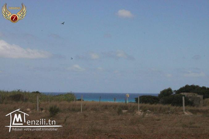 à vendre 35000 m² à El Haouaria