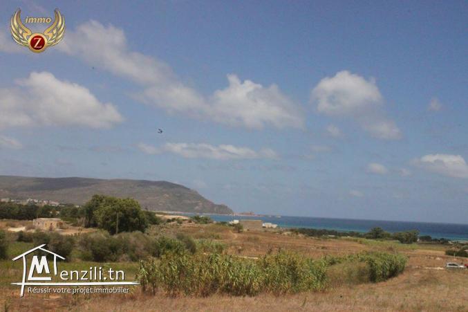 à vendre 35000 m² à El Haouaria